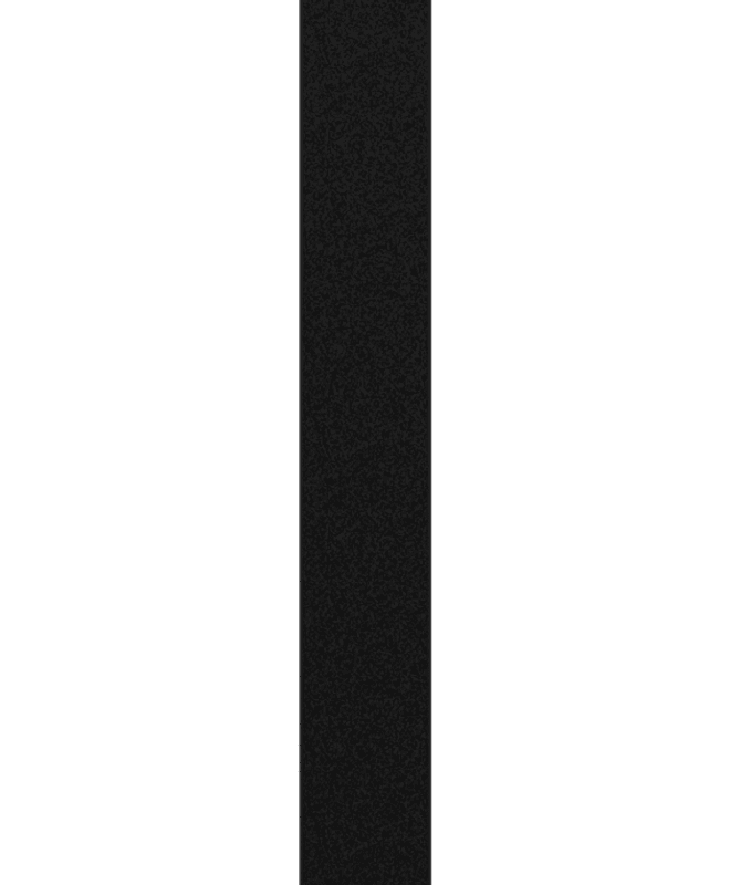 Polar - H10 Pulssensor - Black M-XXL